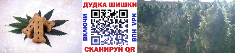 площадка формула  Райчихинск  Canna-Cookies марихуана 