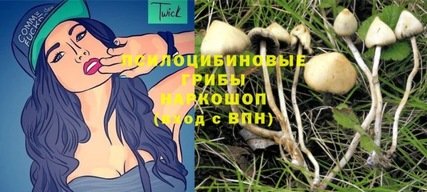 ешки Арсеньев