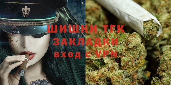 прущие грибы Балахна