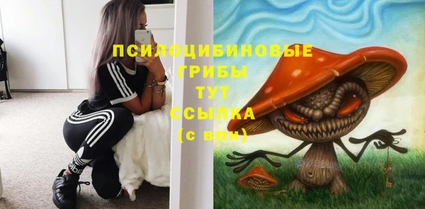 первитин Армянск