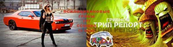 ешки Арсеньев